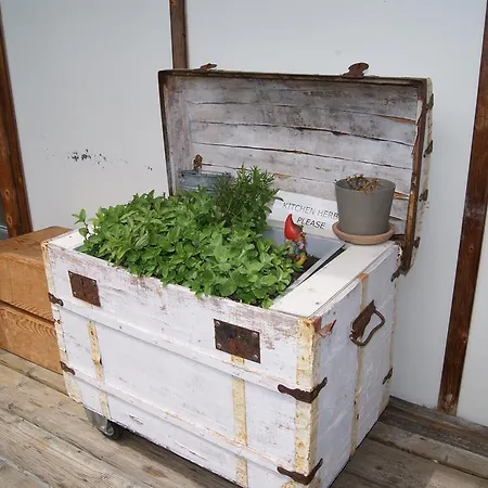 Hostel Riverlodge Tcs Training & Freizeit Ag