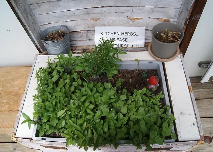 Riverlodge Tcs Training & Freizeit Ag Ostello *