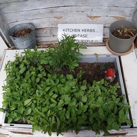 Riverlodge Tcs Training & Freizeit Ag Хостел *