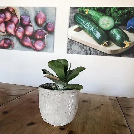 Riverlodge Tcs Training & Freizeit Ag *